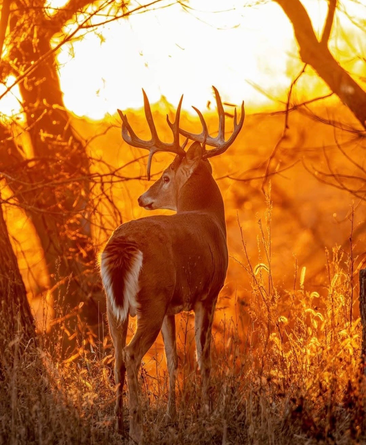 Young hunter with mentor